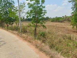 ขายที่ดินเปล่า จ.นครราชสีมา 40 ไร่ 2 งาน 35 ตร.ว. ที่ดินติดถนน น้ำไฟเข้าถึง เหมาะลงทุน ราคาไร่ละ 200,000 บาท