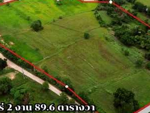 ขายที่ดินเปล่า อ.โนนไทย จ.นครราชสีมา 21 ไร่ 2 งาน 89.6 ตร.ว. ติดถนน น้ำไฟเข้าถึง ใกล้มอเตอร์เวย์ ราคาไร่ละ 350,000 บาท