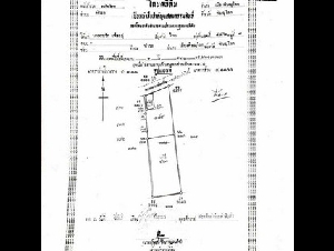 ขายบ้านพร้อมที่ดิน หัวรอ อำเภอเมือง จังหวัดพิษณุโลก เนื้อที่ 1 ไร่ 3 งาน