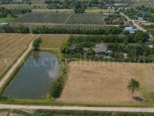 ขายด่วน ที่ดิน 9-3-99.5 ไร่ ดอนโพธิ์ - สุพรรณบุรี มีผู้เช่า ทำเลดี