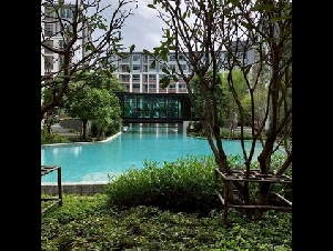 ขายด่วน! ราคาพิเศษเพียง 1.95 ล้าน 30 ตรม. #Dcondo #Ping #ติดเซ็นทรัลเฟสติวัล ตกแต่งสวย #หิ้วกระเป๋าเข้าอยู่ได้ทันที