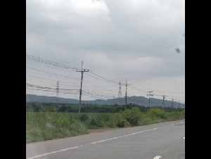 ขายที่สีม่วง 4,5,6 ไร่ ต.บางนาง ต.บ้านเก่า ต.พานทอง  จ.ชลบุรี