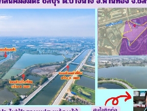 ขายที่สีม่วง  31  ไร่ ใกล้ถนนเลียบมอเตอร์เวย์ สาย 7 ใกล้นิคมอมตะ ชลบุรี  ต.บางนาง อ.พานทอง จ.ชลบุรี