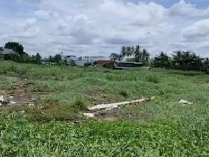 ขายที่ดินบางมด 200 ตร.ว. ซอยสุวรรณโพธิ์ - เหมาะมากสำหรับสร้างบ้าน สำนักงาน