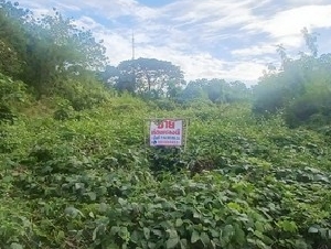 ขายที่ดินวิวโขง เชียงคาน 1 งาน 90 ตร.วา เหมาะทำร้านค้า/คาเฟ่ ราคาเพียง 4.5 ล้าน