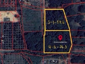 ที่ดินเปล่า เหมาะทำบ้านจัดสรร ผังสีเหลือง ท่าวังตาล สารภี 