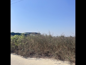 ขายที่ดินแปลงเล็กขนาด200ตารางวาอยู่ในโครงการ promt fac  ถนนสุขุมวิทสายเก่า 