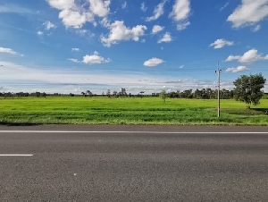 ขายที่ดินว่างเปล่า ถนนประทาย-ยโสธร อำเภอพยัคฆภูมิพิสัย มหาสารคาม