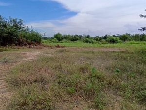 ขายที่ดินวางเปล่า ถนนสายอำเภอบรบือ-บ้านแก้งน้อย อำเภอบรบือ มหาสารคาม