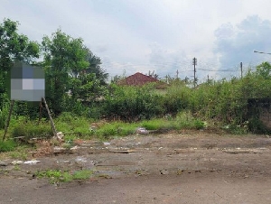 ขายที่ดินว่างเปล่า ซอยศรีวิชัย 59 แยก 8 ถนนศรีวิชัย สุราษฎร์ธานี