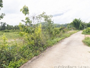 [ขาย] ที่ดินถมแล้ว นครนายก ติดน้ำ วิวสวย ทำบ้านสวนเกษตรในฝัน ใกล้กรุงเทพฯ ด่วน! ฟรีค่าโอน