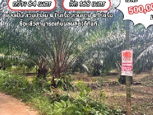 ที่ดิน (สวนผสม) แบ่งเป็นสวนปาล์ม 4 ไร่ครึ่ง สวนยาง 4 ไร่ครึ่ง ห่างจาก โรงเรียนประสาธน์ราษฏร์บำรุง 1 กิโลเมร