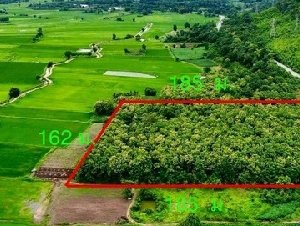 ขายที่ดิน จ.ตาก  ( 2.8แสน/ไร่ ) พื้นที่ 16 ไร่ 2 งาน 89 ตร.ว. ติดถนนสาธารณะ 2 ด้าน มีบ้านสองหลัง 