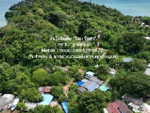 พื้นที่ดิน ขายที่ดินสวนป่า บนเนินไหล่เขา วิวทะเล (Seaview) เกาะสิเหร่ ภูเก็ต 5-0-48.7 ไร่ (ห่างชายทะเล 100 ม.), ราคา 76,826,250 บาท (15 ล้านบาท/ไร่) 76826250 BAHT  2049 ตรว.   NEW! ภูเก็ต   