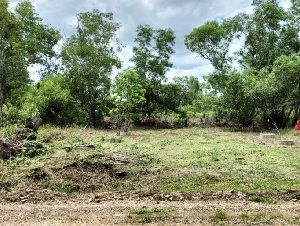 ขายที่ดินคลองหกตะวันตก 53 ถมแล้ว ที่ดินสวยและถูกมาก   ขนาด 100 ตารางวา  