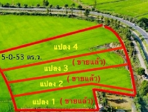 แบ่งขายที่ดิน อยุธยา บางไทร บ้านกลึง  ( เหลือ 1 แปลง)