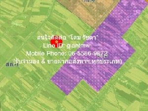 พื้นที่ดิน ขายที่ดินทุ่งนา ต.คลองอุดมชลจร อ.เมืองฉะเชิงเทรา ฉะเชิงเทรา 24-2-82 ไร่ ราคา 41,998,500 บาท (1.7 ลบ./ไร่) ทำเลดี-เยี่ยม ฉะเชิงเทรา   