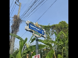 ที่ดิน - พท. 0 Rai 0 งาน 200 ตาราง-วา 23000 บาท ใกล้กับ โรงเรียนปทุมวิไล ศาลากลางปทุมธานี โลตัสปทุมธานี โรงพยาบาลปทุมธานี อยู่ย่านใจกลางเมืองปทุม เขตชุมชน บรรยากาศส่วนตัว