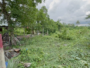 ที่ดินปากเกร็ด  85 ตร.วา ทำเลดี ราคาต่ำกว่าตลาด ใกล้รถไฟฟ้าสีชมพูใกล้วัดป่าเลไลย์ ปากเกร็ด นนทบุรี