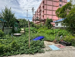 ลดราคา ที่ดินเปล่า 59 ตร.วา ซอยพิบูลสงคราม 22 - ซอยวัดกำแพง ราคาถูก