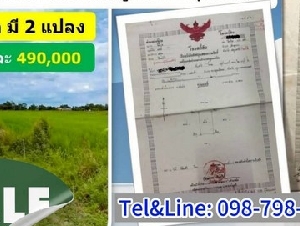 ที่ดินคลอง14ลำลูกกา ปทุมธานี  200 ตร.ว 490,000 ขายถูกๆ 