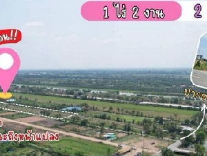 ที่ดินคลอง 8 บึงบอน 47/1 (ซอยดาบสมภักดิ์) รังสิต ปทุมธานี 1 ไร่ 200 ตร.ว เพียง 2 ล้านบาท 