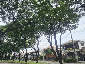 ขายบ้านเดี่ยว มัณฑนา รามอินทรา วงแหวน ใกล้แฟชั่น ใกล้ทางด่วน ลดทันที 2 ล้าน