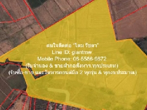 รหัส:  DSL-1096 Sale พื้นที่ดิน ขายที่ดินทุ่งนาข้าว ต.ระวิง อ.เมืองเพชรบูรณ์ จ.เพชรบูรณ์ 51-2-87 ไร่ ราคาจับต้องได้