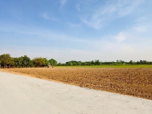 ที่ดิน -  100 ตร.ว. 750000 THAI BAHT ใกล้กับ เซเว่น  มอเตอร์เวย์ น่าอยู่