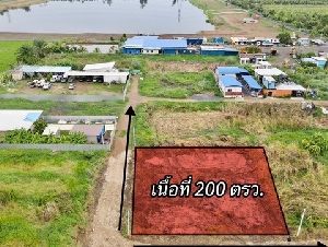 ที่ดินใกล้กรุงฯ คลอง9หนองเสือ ใกล้ชุมชน 200ตรว. เพียง 7.5แสนเท่านั้น  ปทุมธานี To86-3ol-6l6l ใกล้ตลาด ใกล้ชุมชน เหมาะปลูกบ้าน ทำบ้านสวนเกษตร