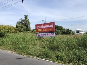 ที่ดินคลอง 11 หน้ากว้างถึง 130 เมตร ติดถนน 2 ด้าน ถมแล้ว พร้อมพัฒนาได้ทันที โอกาสสำหรับนักลงทุน ผู้พัฒนาอสังหาริมทรัพย์ และเจ้าของกิจการ