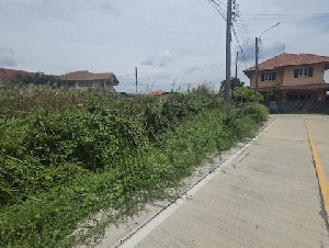ให้เช่า ที่ดินเปล่า ขนาด 276 ตร.วา ติดถนนคอนกรีต เหมาะกับสร้างที่พักอาศัยหรือโกดัง ใกล้ถนนใหญ่และห้างสรรพสินค้า | 93382