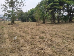 svs356 ขายที่ดิน มวกเหล็ก สระบุรี ใกล้พาราไดซ์รีสอร์ท