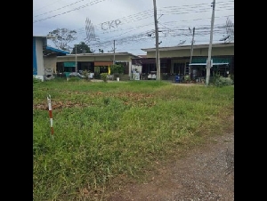 ขายด่วน ที่ดินติดถนนสาธารณะ ขนาด 2 งาน 95 ตร.วา ห่างจากถนนสุขุมวิทเพียง 850 เมตร เหมาะซื้อไว้ปลูกบ้านพักอาศัย ทำธุรกิจขนาดเล็ก | 93362