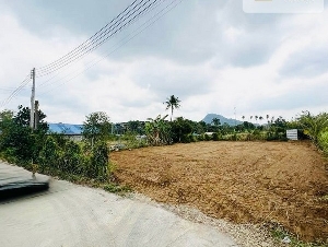 ขายที่ดิน ขนาด 126 ตร.ว. บางเสร่ ชลบุรี วิวภูเขาสวยๆ ติดสวนนงนุช เหมาะสำหรับสร้างบ้านขายหรือพักผ่อน