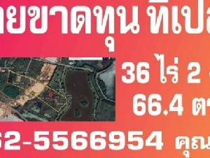 ขายที่ดินเปล่าบ้านดุง..ที่ดินใกล้คำชะโนดถูกๆ..ที่ดินอุดรธานี
