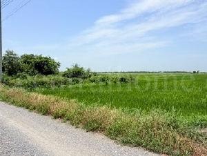 ที่ดินราคาถูก 4-2-63 ไร่ เข้าออกได้หลายทาง  ต.บางซ้าย พระนครศรีอยุธยา