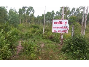 ขายที่ดินทำเลทอง    อำเภอเมือในเมือง   ตำบลพิมาย  จังหวัดนครราชสีมา 