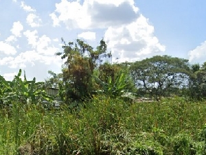 ขายที่ดินเปล่า ทำเลดี 100 ตร.ว. นิมิตรใหม่ มีนบุรี คลองสามวา เดินทางสะดวก กรุงเทพฯ 