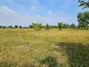 ขายที่ดิน ลำสนธิ-ลพบุรี ตำบลลำสนธิ อำเภอลำสนธิ  จังหวัดลพบุรี