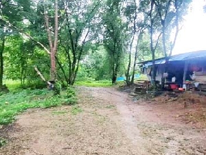 ขายที่ดิน 36-2-36 ไร่ แม่ระมาด ตาก ใกล้โรงพยาบาลแม่ระมาด เดินทางสะดวก
