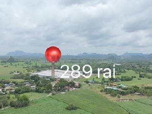 Operational pig farm for sale in Thailand   Swine farm for sale, located in Thailand