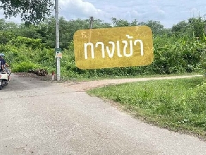 ขายที่ดินหนองตำลึง เนื้อที่  30  ตรว  อยู่ในแหล่งชุมนุม เหมาะสำหรับท่านที่มองหาที่ดินปลูกบ้านอยู่ในแหล่งชุมชน  