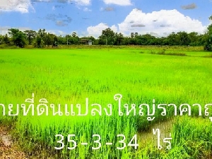 ขายถูกที่ดินแปลงใหญ่ดอนเจดีย์ 35-3-24 ไร่ ทำเลดี ติดถนน