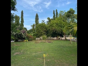 ขายที่ดินเปล่า ทำเลดี ติดถนน ตำบลฉลอง  อำเภอเมือง จังหวัดภูเก็ต