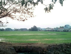 ขายที่ดิน 30-3-59.6 ไร่ อ.สามโคก ต.ท้ายเกาะ จ.ปทุมธานี ติดถนนใหญ่  3111 ปทุมธานี-สามโคก-เสนา ที่ดินแปลงสวย เหมาะทำการลงทุน 