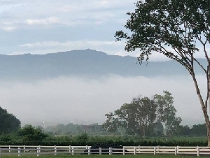 สัมผัสชีวิตเรียบง่ายแต่มีรสนิยม ทำเลทองของเขาใหญ่ ตอบโจทย์การอยู่อาศัยและการลงทุนในอนาคต