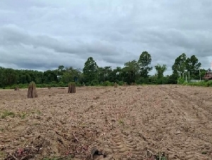 ขายที่ดินบางละมุงชลบุรี ที่ดิน 10 ไร่ แปลงสวยราคาถูก บางละมุง (โป่ง)ชลบุรี ห่างถนนเส้น36ประมาณ1กม. ผังสีเหลือง