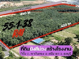 ขายที่ดินเปล่า แปลงสวย เขตเขาคันทรง ศรีราชา ชลบุรี FP-L02301 