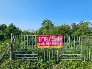 ขายที่เปล่าราชบุรีติดถนนทางหลวงชนบท ขายที่ดินติดถนนหน้ากว้าง 70 ม.  ต.หินกอง อ.เมือง จ.ราชบุรี